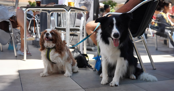 ELLOS TAMBIÉN SON HABANERAS