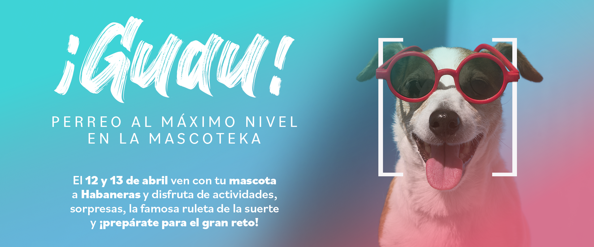 ¡Guau! Ya está aquí la Mascoteka