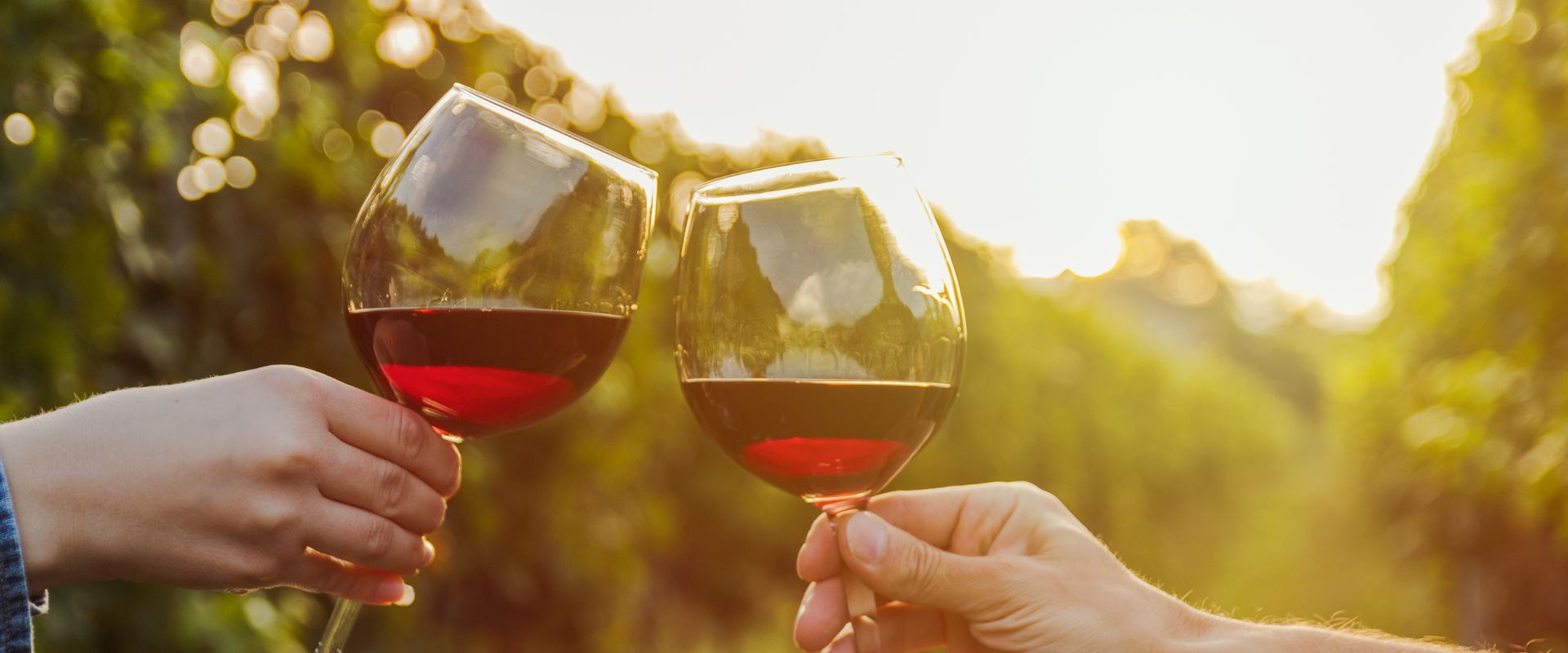 Sorteo cata de vinos