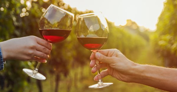 Sorteo cata de vinos