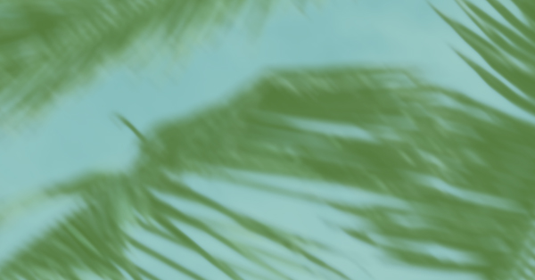 TU AFTER BEACH ESTÁ EN HABANERAS 😎