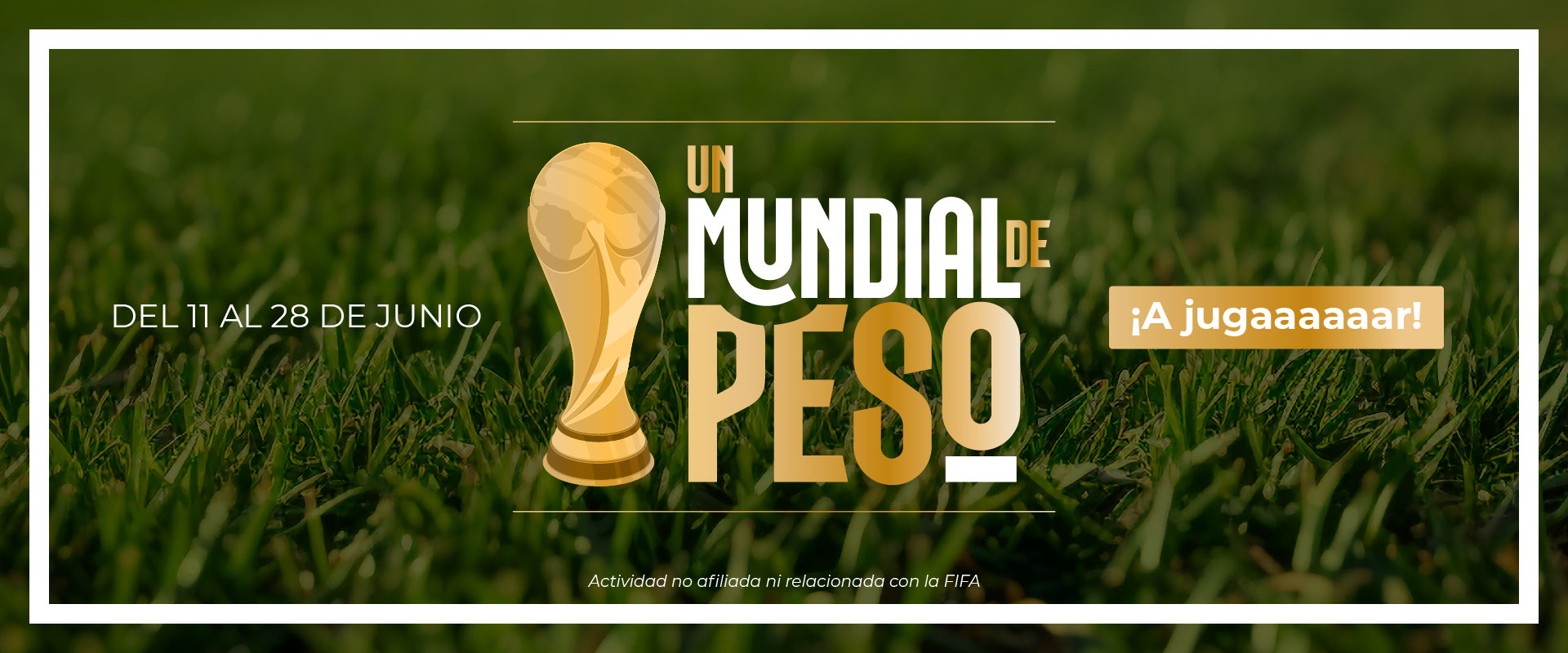 Gana un Mundial de Peso 🏆