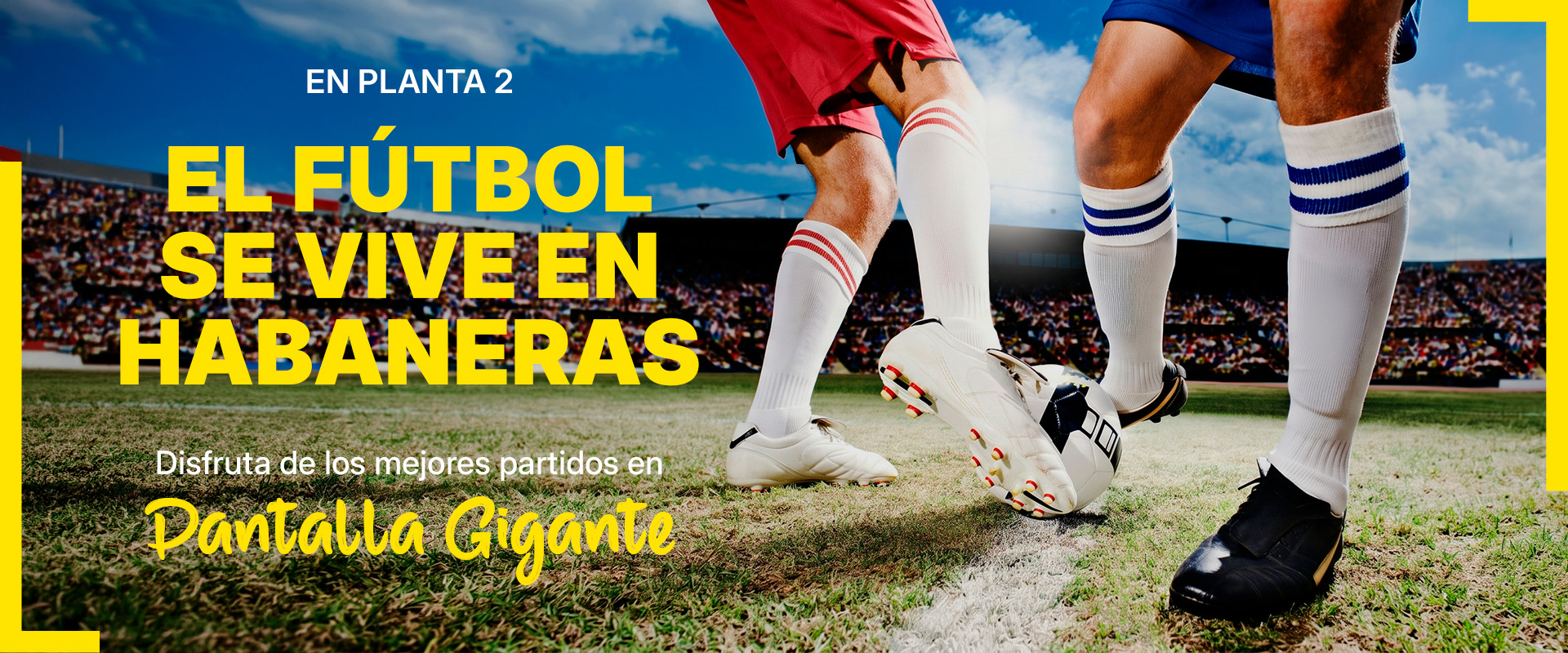 Todo el fútbol en pantalla gigante ⚽🔥